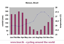 climate chart Manaus