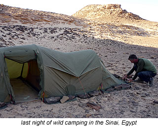 camping in the sinai desert, egypt