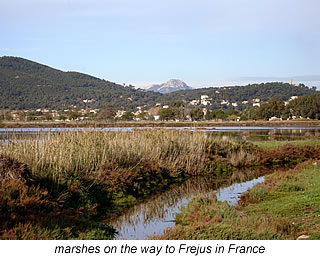 marsh land on the way to frejus in France