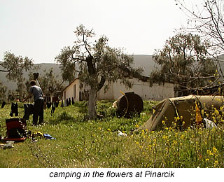 Camping at Pinarçik in Turkey in thewild flowers